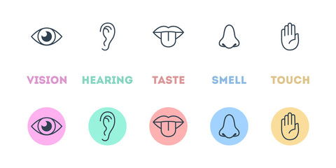 Five types of human sense concept illustration