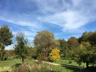 Nature, jardin, jardin privé, campagne