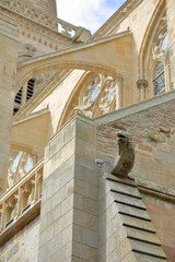 Close-up on a stone gargoyle carved on the facade of Saint Vincent Cathedral inside the walled city...