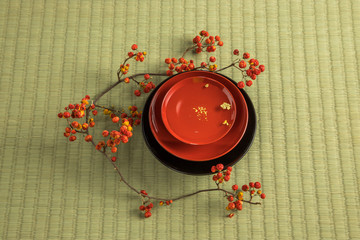 お屠蘇　祝い酒　New Year celebration sake of Japan © norikko