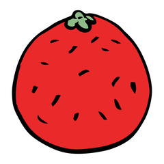 cartoon doodle tomato