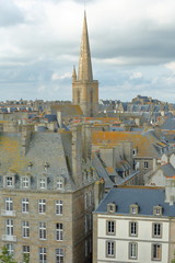Aerial view of traditional house facades (with chimneys and roofs) and Saint Vincent Cathedral,...