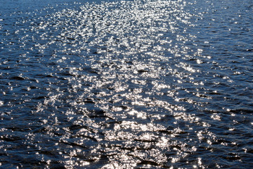 Fallen leaves on the water. The glare on the water.
