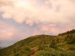 Carpathians mountains at summer, west Ukraine. Ukrainian wild nature landscape. Hillside covered...