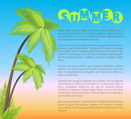 Summer Poster with Palms, Vector Illustration