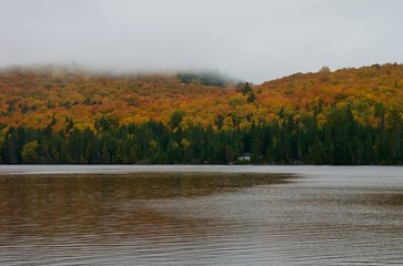 Beautiful foggy sceneries of Algonquin Park in autumn 