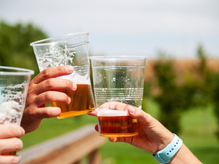 A group of friends having fun and toasting beer in a park on a holiday