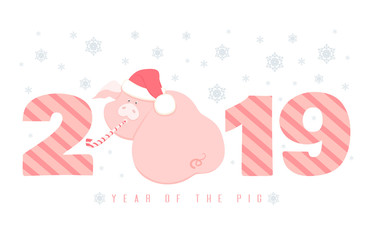 Creative postcard for New 2019 Year with cute pig in Santa hat. Chinese New Year symbol lies on numbers on white background with snowflakes. Cartoon flat style vector illustration.