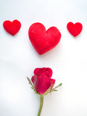 Red rose and red hearts on white background