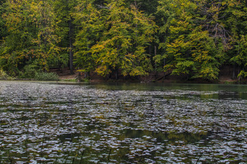 Jeziorka Duszatyńskie Bieszczady  © wedrownik52