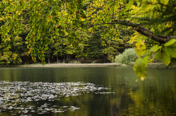 Jeziorka Duszatyńskie Bieszczady  © wedrownik52
