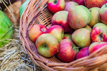 close up of red ripe apples in a basket at the farmer's market
