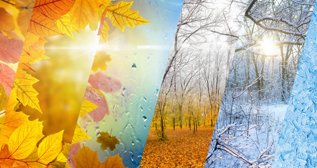 Fall and winter, weather forecast concept - obrazy, fototapety, plakaty