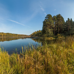 Sunny autumn day / Солнечный осенний день