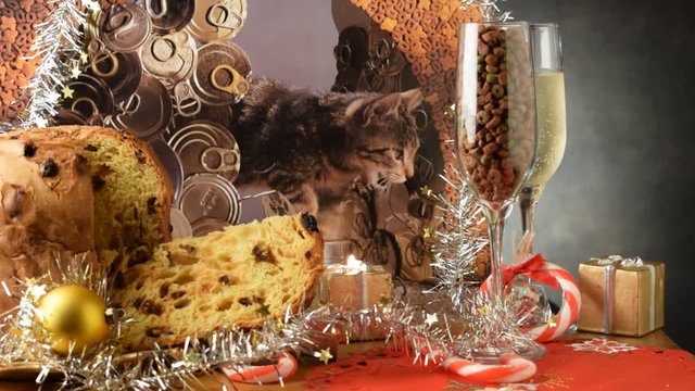 Silvana Comugnero 
ft81090604 Xmas cat food