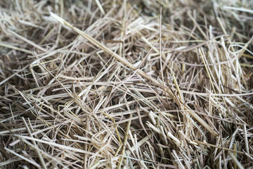 dry straw texture background