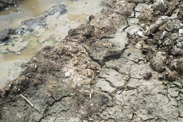 Mud texture or wet soil road in the field.