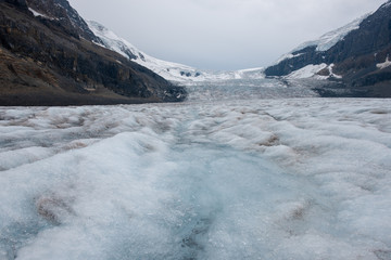 Obraz premium Columbia Icefield