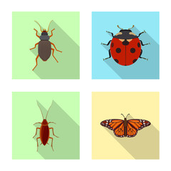 Vector illustration of insect and fly symbol. Collection of insect and element stock symbol for web.