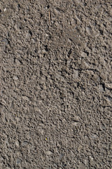textured gray brown asphalt surface outdoors in summer in the sunlight