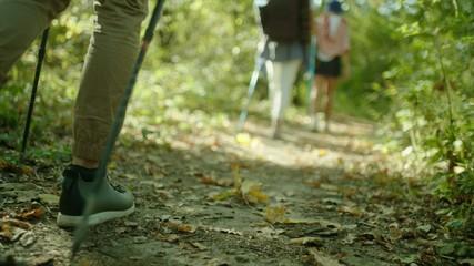 Group of hikers with backpacks and sticks walking throught the forest