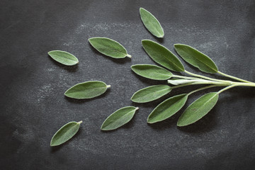 Fresh Sage Leaves