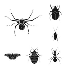 Vector illustration of insect and fly sign. Collection of insect and element stock symbol for web.