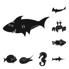 Vector design of sea and animal sign. Collection of sea and marine stock vector illustration.