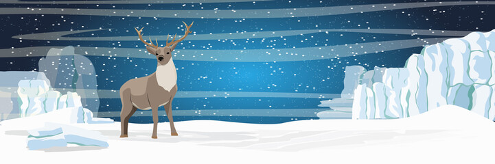 Wild reindeer walks through a snow-covered plain. Glaciers on the horizon, the northern starry night. Animals of Russia, Canada, USA, Scandinavia and Iceland. Northern landscape © AnnstasAg