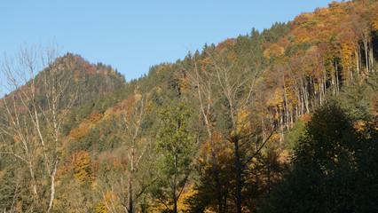 Fototapeta premium Herbstlandschaft