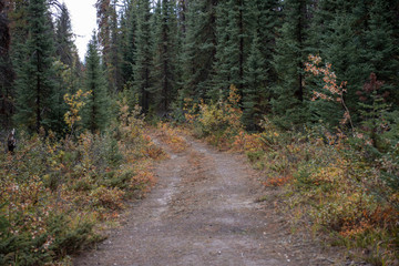 Feldweg