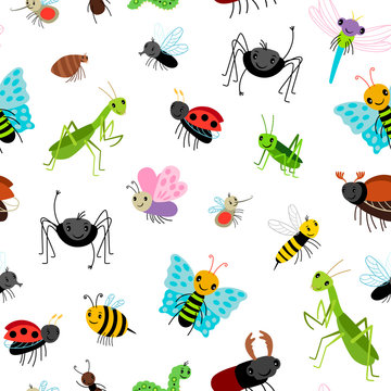 Insects colorful pattern with bugs, butterfies and spiders on white background, vector illustration