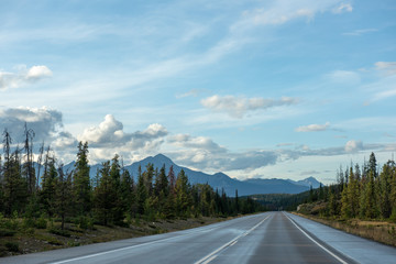 Fototapeta premium Stimmung nach Unwetter