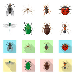 Isolated object of insect and fly sign. Collection of insect and element stock symbol for web.