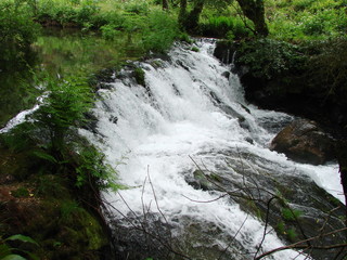 The landscape of the waterfall of a mountain river in a dense forest surrounded by green trees.