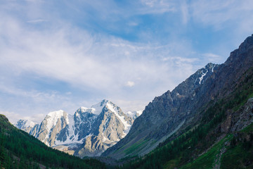 Giant snowy mountain top behind hill with forest under clear blue sky. White snow of glacier. Rocky ridge in sunny day. Atmospheric landscape of majestic nature.