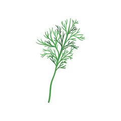 Fototapeta premium Small sprig of fresh green dill. Aromatic annual herb. Natural and healthy ingredient for flavoring dishes. FFlat vector icon