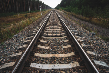 Obraz premium Railway traveling in perspective across forest. Journey on rail track. Poles with wires along rails. Atmospheric landscape with railroad along bushes and trees with copy space.