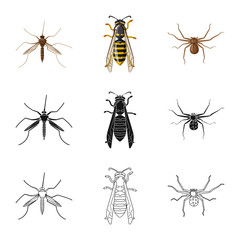 Vector illustration of insect and fly symbol. Collection of insect and element stock vector illustration.