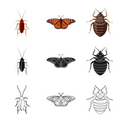 Vector design of insect and fly symbol. Collection of insect and element stock vector illustration.