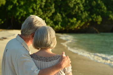 Portrait of elderly couple on beach back view