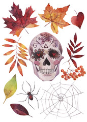Hand painted watercolor illustrations. Set of Halloween elements and objects.