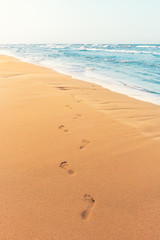 Fototapeta na wymiar Human footprints on the beach