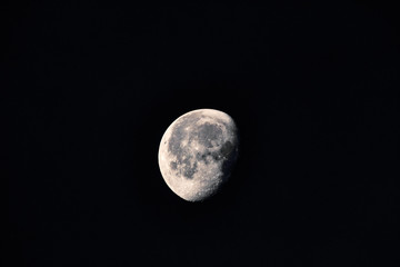 The moon