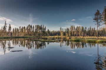 Lake reflection