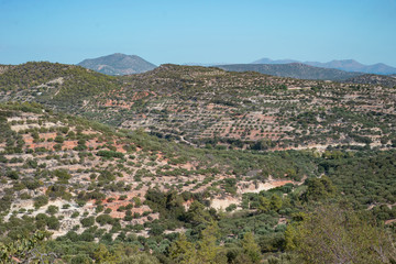 Fototapeta na wymiar Crete island inland countryside landscape mountain view plantation olives fields green trees