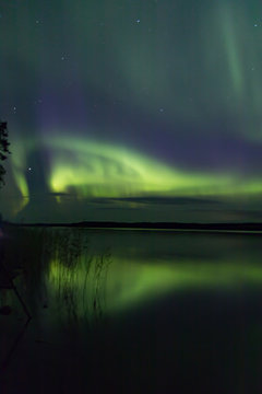 Northern lights