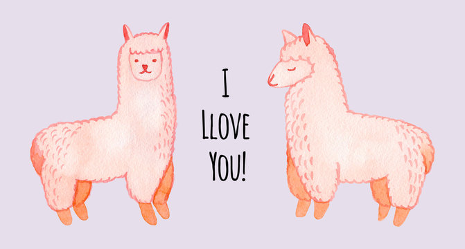 Llama and alpaca collection of cute hand drawn watercolor illustrations, cards and design for nursery design, poster, greeting card. Llamas or alpacas clip-art. Cute animals watercolor illustration.