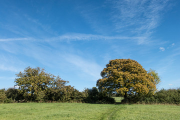 Autumn day in the english countryside 