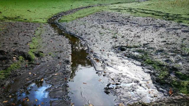 Contaminated empty pond with oil and mud. Zoom in.